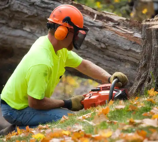 tree services Jefferson City